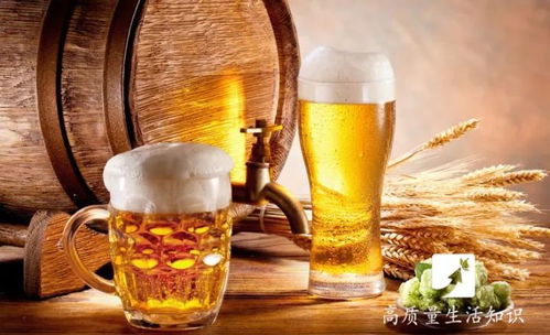 盤(pán)錦酒桌規(guī)矩解密 1杯白酒到底等于多少瓶啤酒？